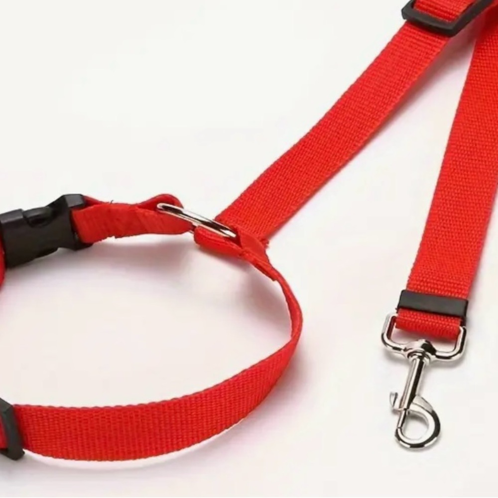 Dog seat belt